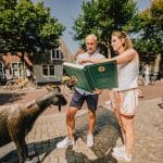 eiland vlieland